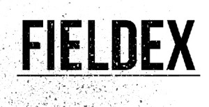 FieldEx_Logocropped22